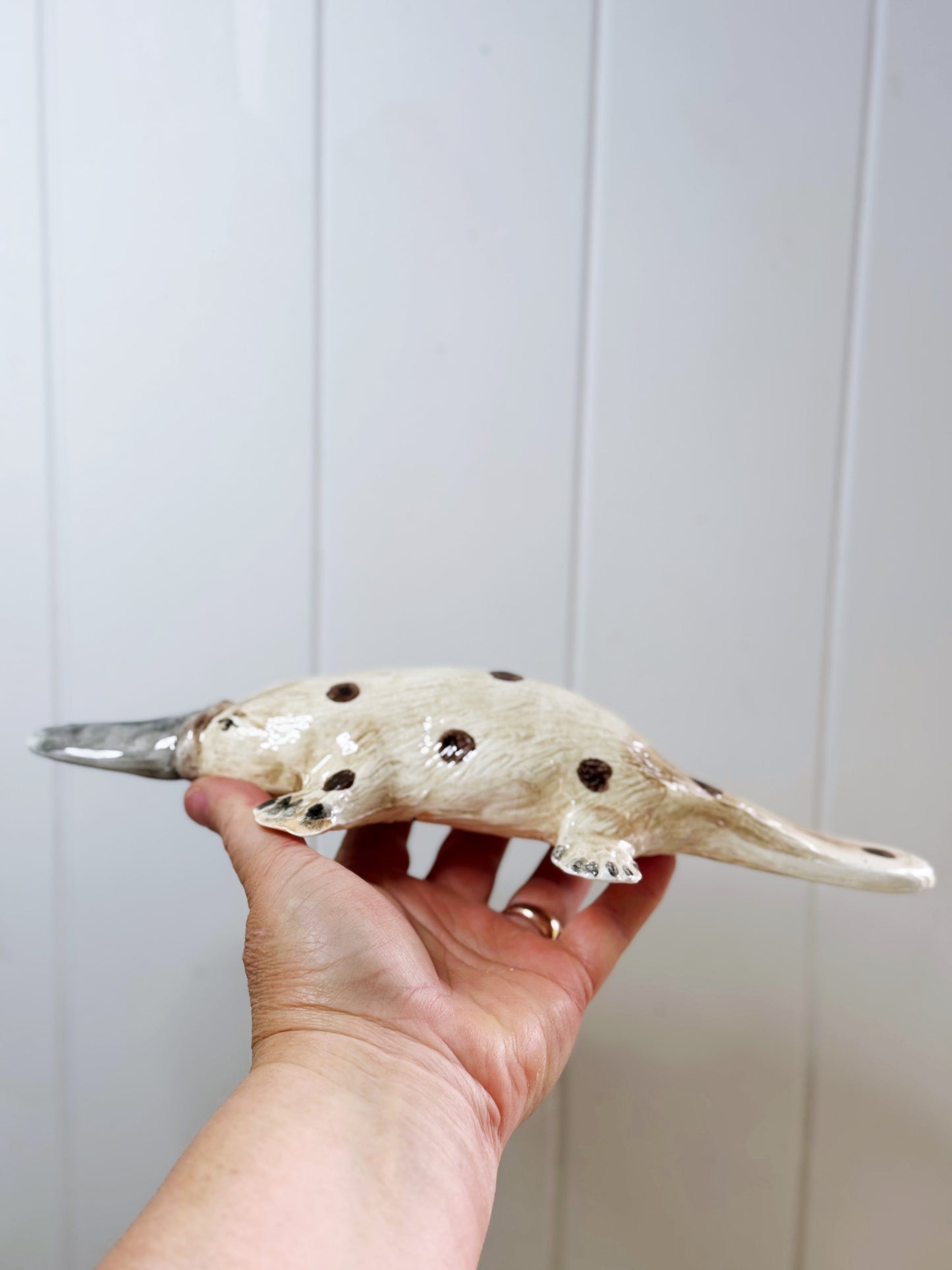 Polka dot ‘Weird is Awesome’ Platypus