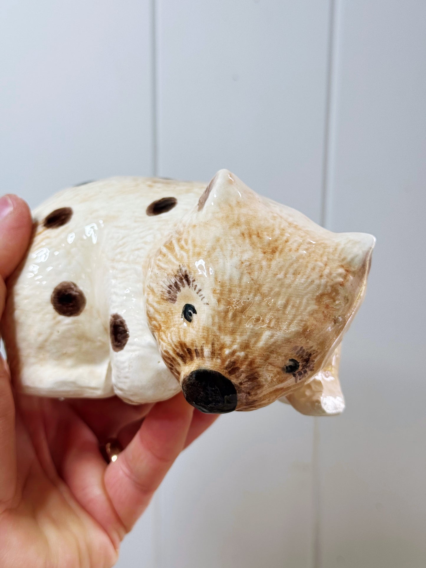 ‘Does my butt look big in this?’ Wally Wombat