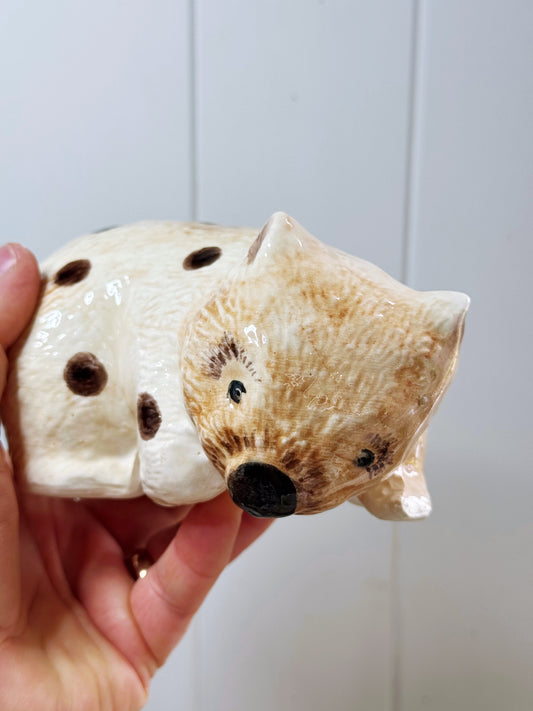 ‘Does my butt look big in this?’ Wally Wombat