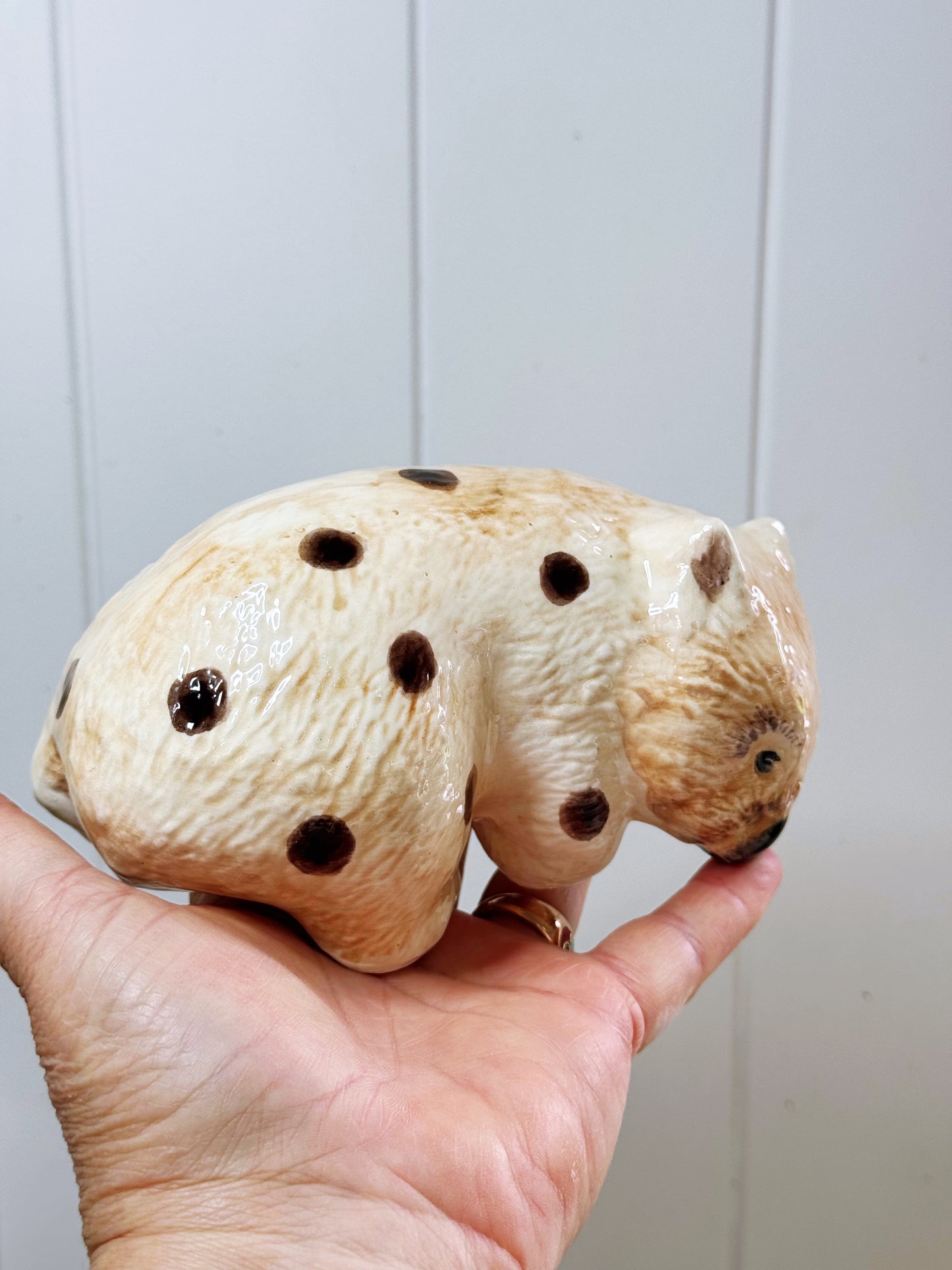 ‘Does my butt look big in this?’ Wally Wombat