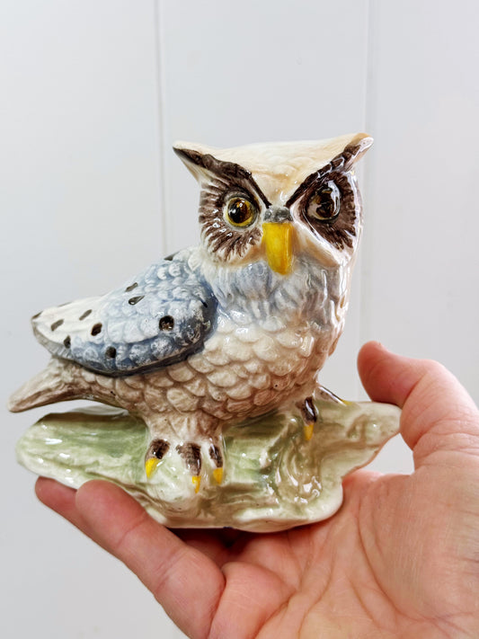 Be proud of whooooooo you are Owl