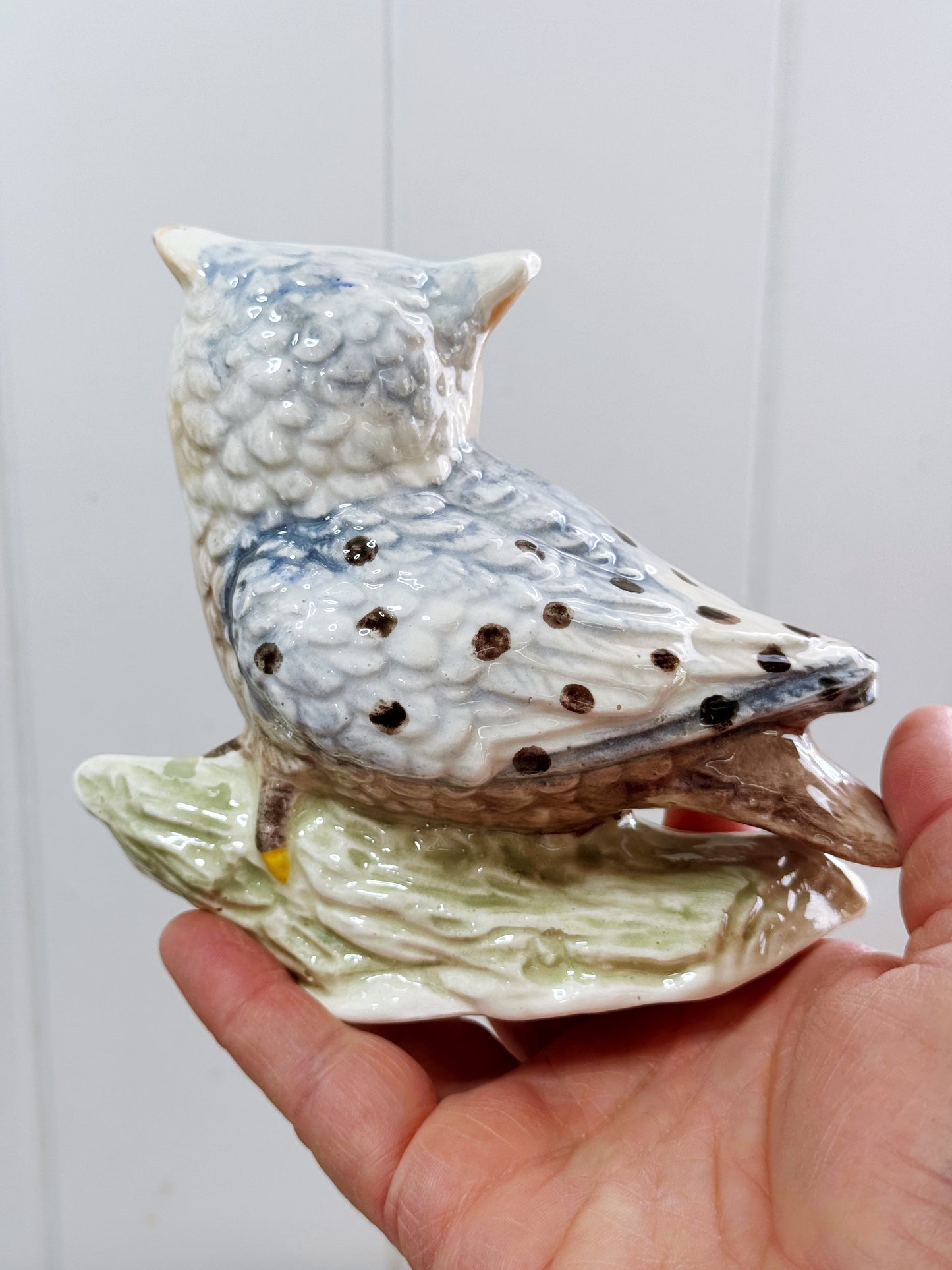 Be proud of whooooooo you are Owl