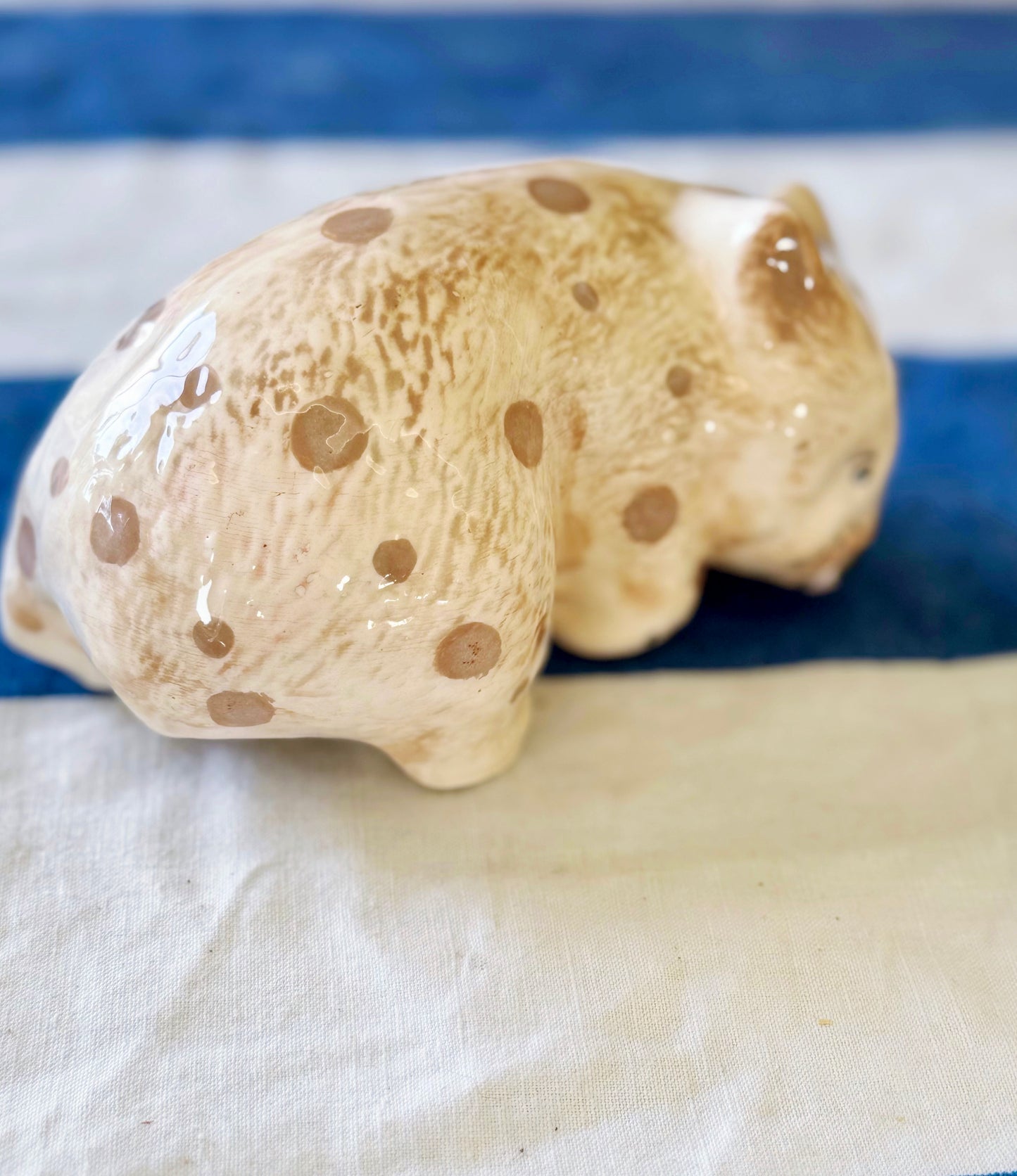 ‘Does my butt look big in this?’ Wally Wombat