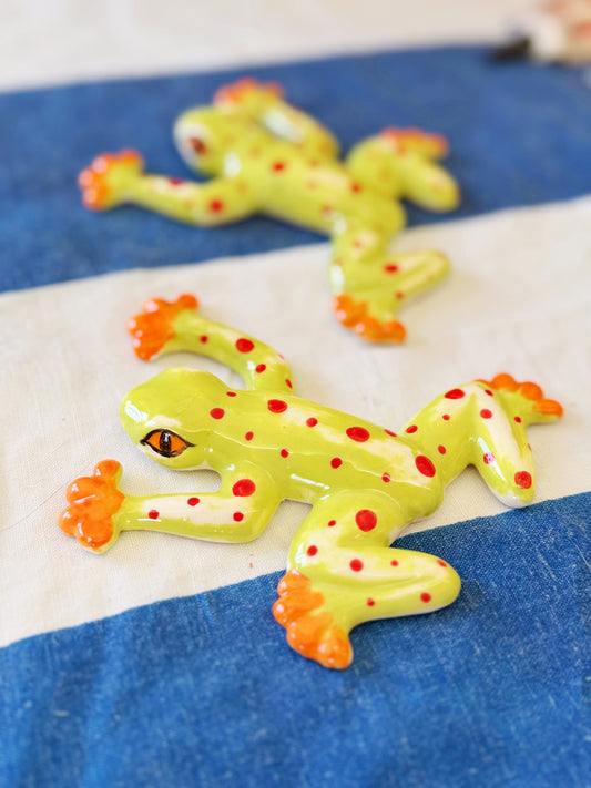 Frog magnet duo set